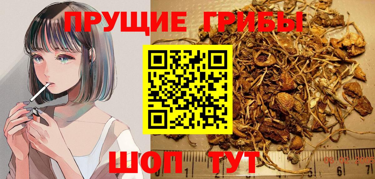 Галлюциногенные грибы Cubensis  Вход с VPN  Псилоцибиновые грибы GOLDEN TEACHER  Нягань 